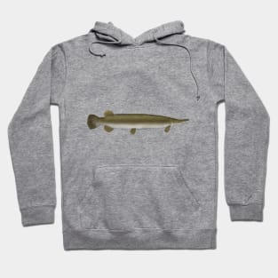 Alligator Gar Hoodie